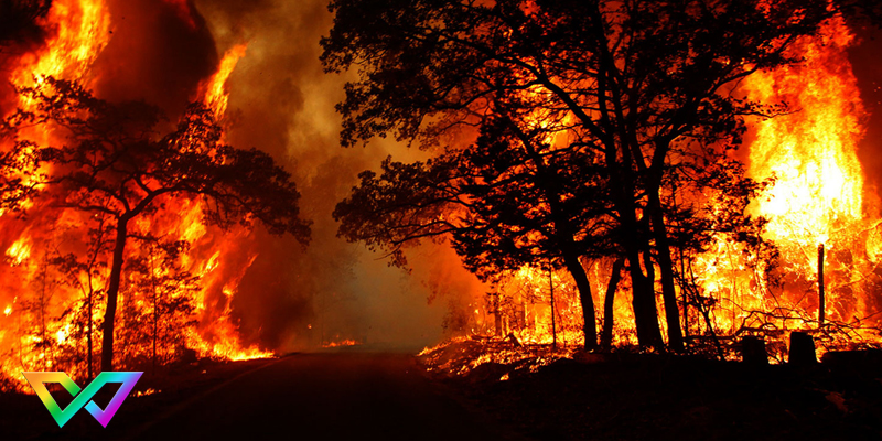 mo-thay-lua-la-diem-bao-gi-2