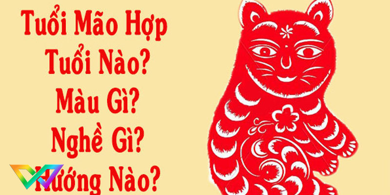 tuoi-mao-hop-mau-gi-tim-hieu-ve-tuoi-mao-1