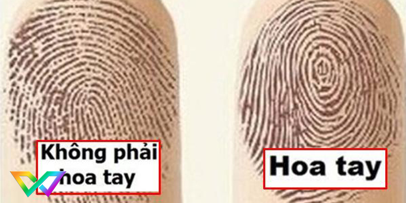 xem-boi-hoa-tay-biet-van-menh-giau-sang-3